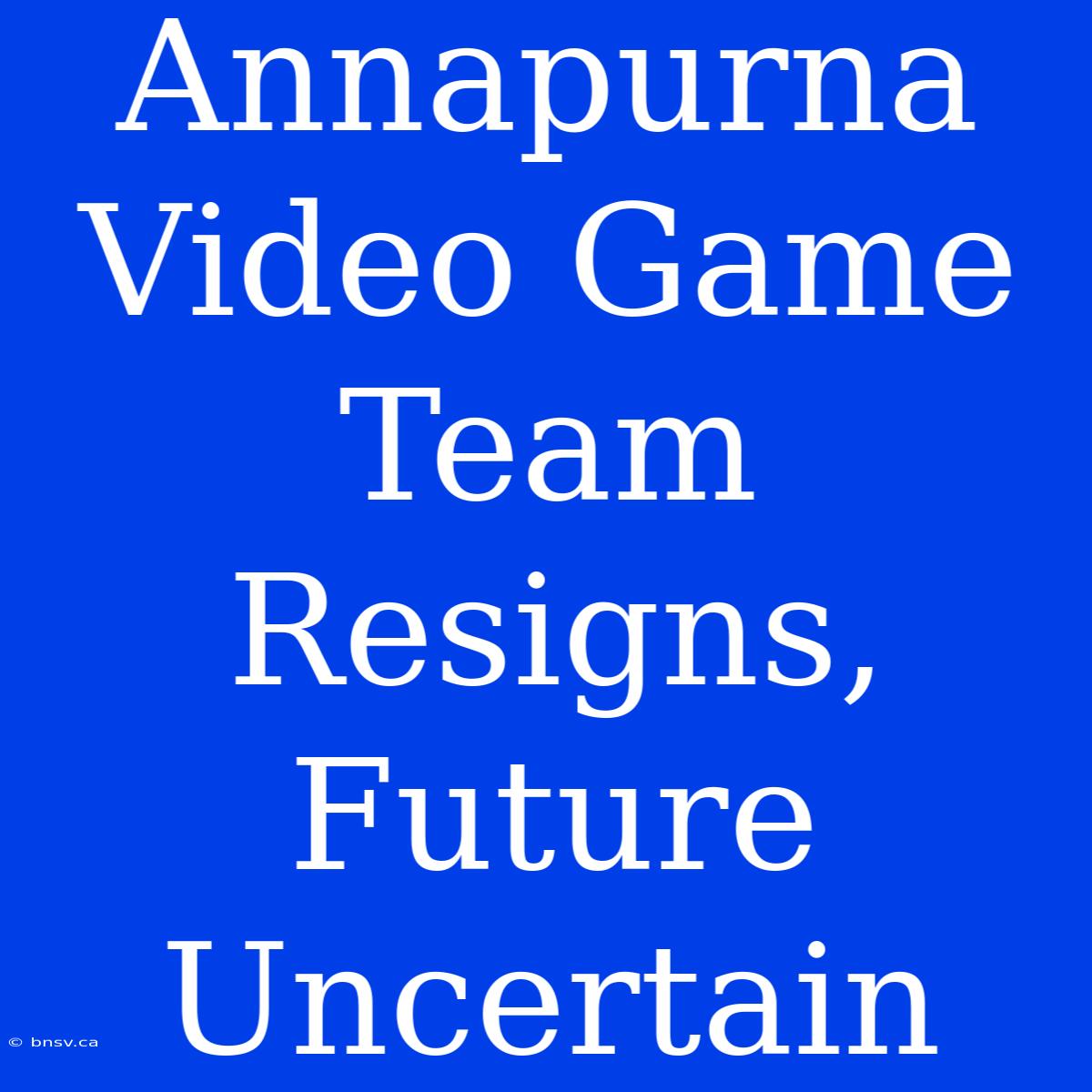 Annapurna Video Game Team Resigns, Future Uncertain