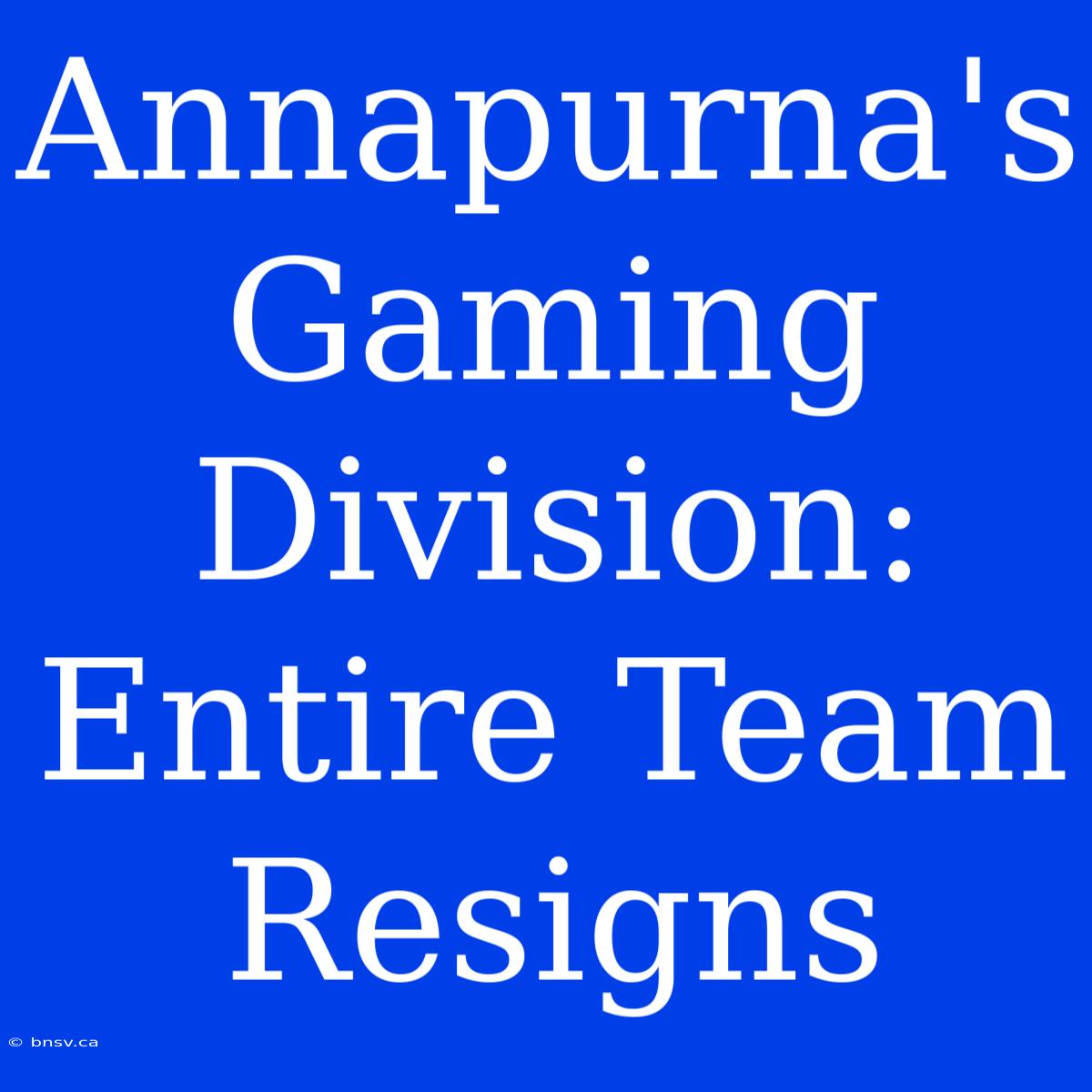 Annapurna's Gaming Division: Entire Team Resigns