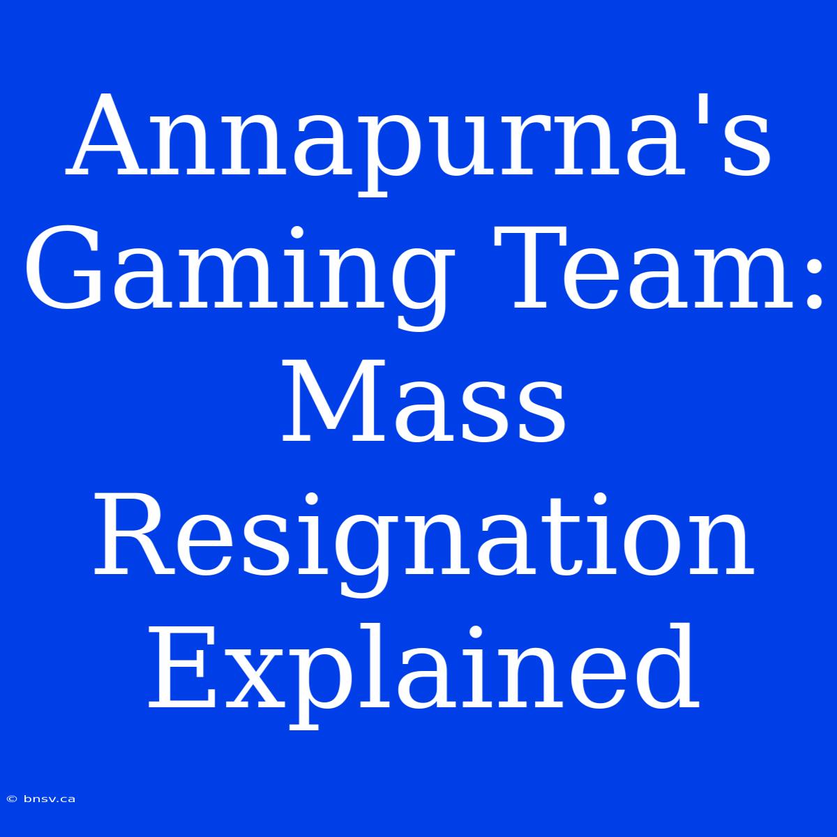 Annapurna's Gaming Team: Mass Resignation Explained