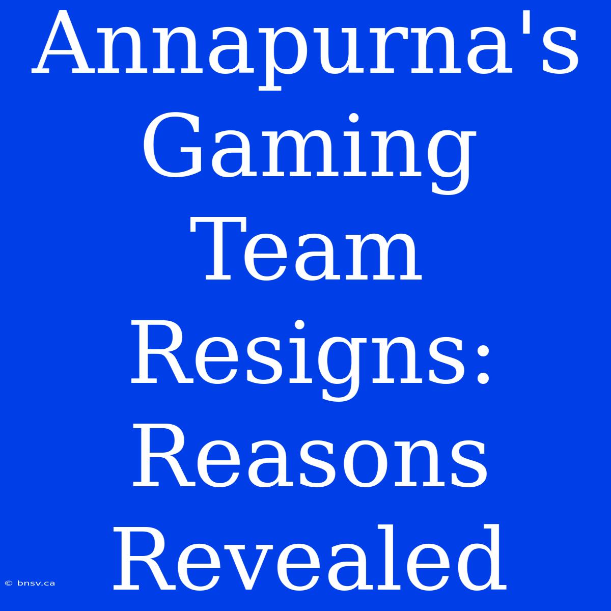 Annapurna's Gaming Team Resigns: Reasons Revealed