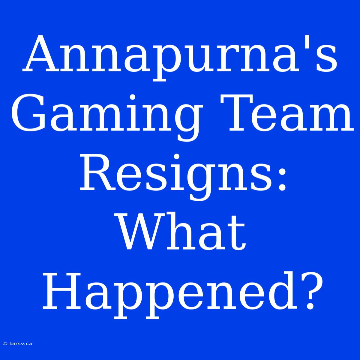 Annapurna's Gaming Team Resigns: What Happened?