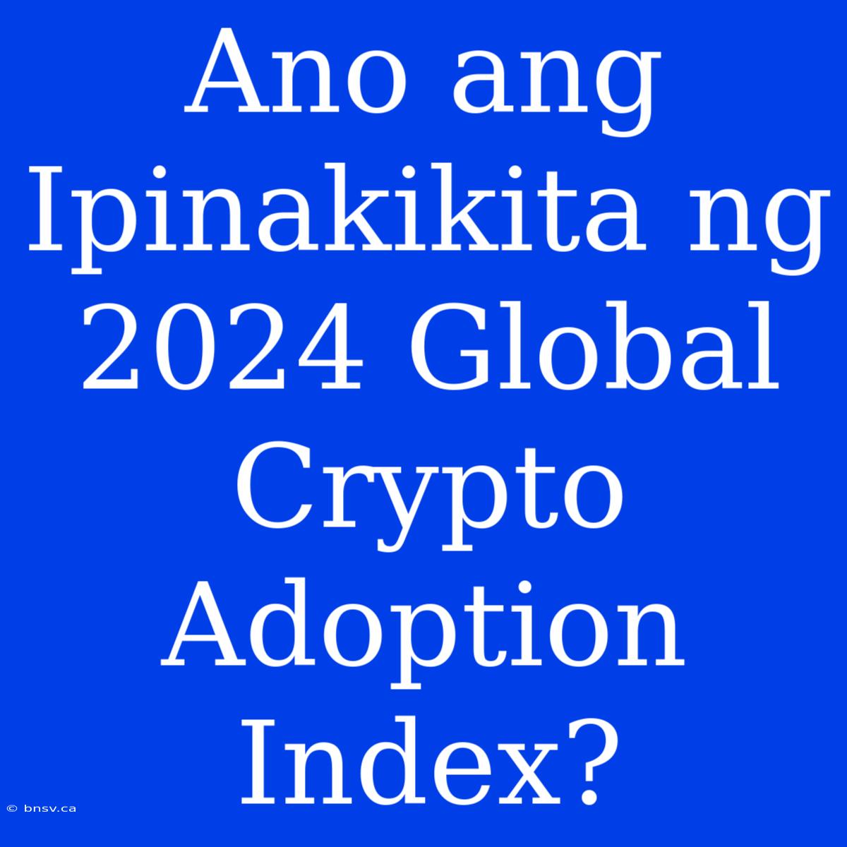 Ano Ang Ipinakikita Ng 2024 Global Crypto Adoption Index?