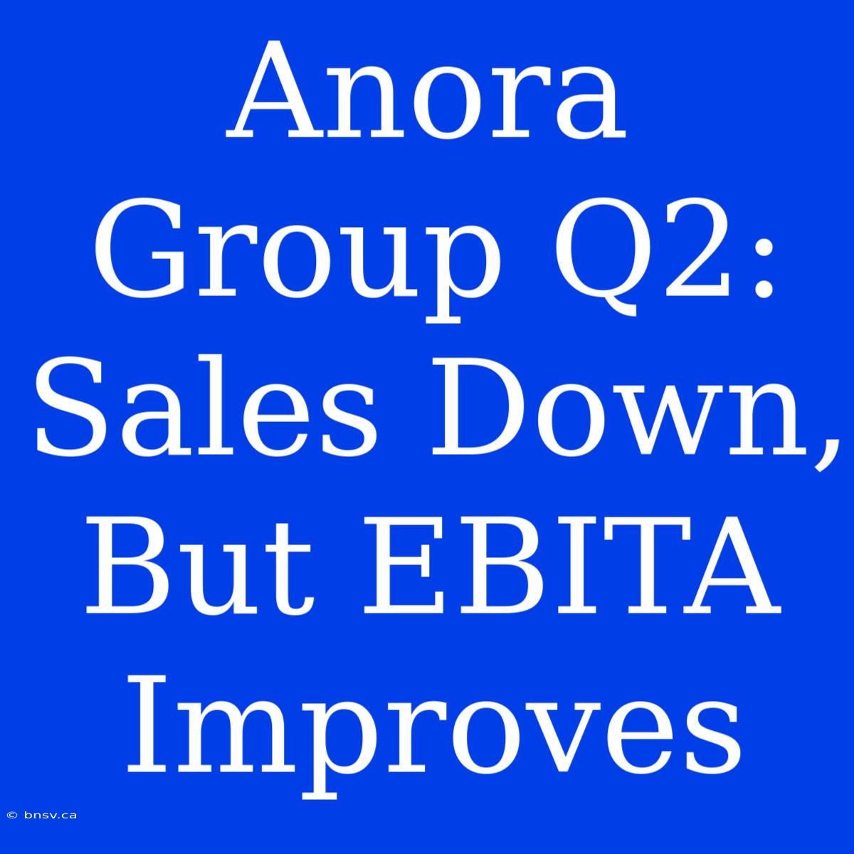 Anora Group Q2: Sales Down, But EBITA Improves