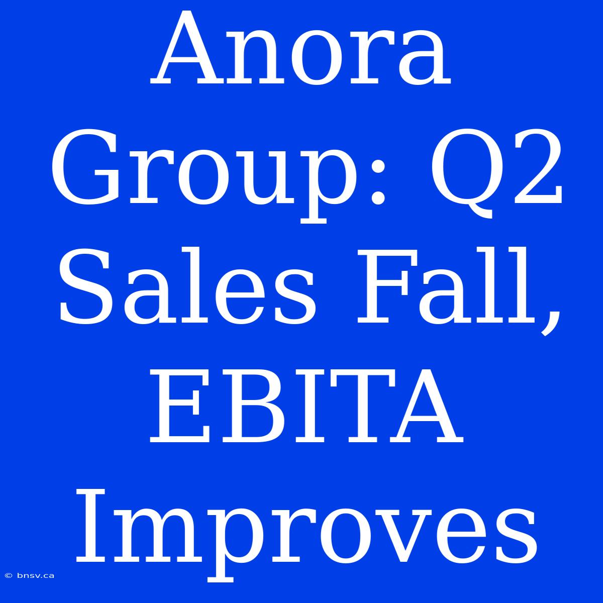 Anora Group: Q2 Sales Fall, EBITA Improves