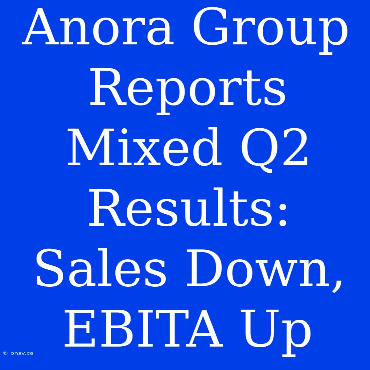 Anora Group Reports Mixed Q2 Results: Sales Down, EBITA Up