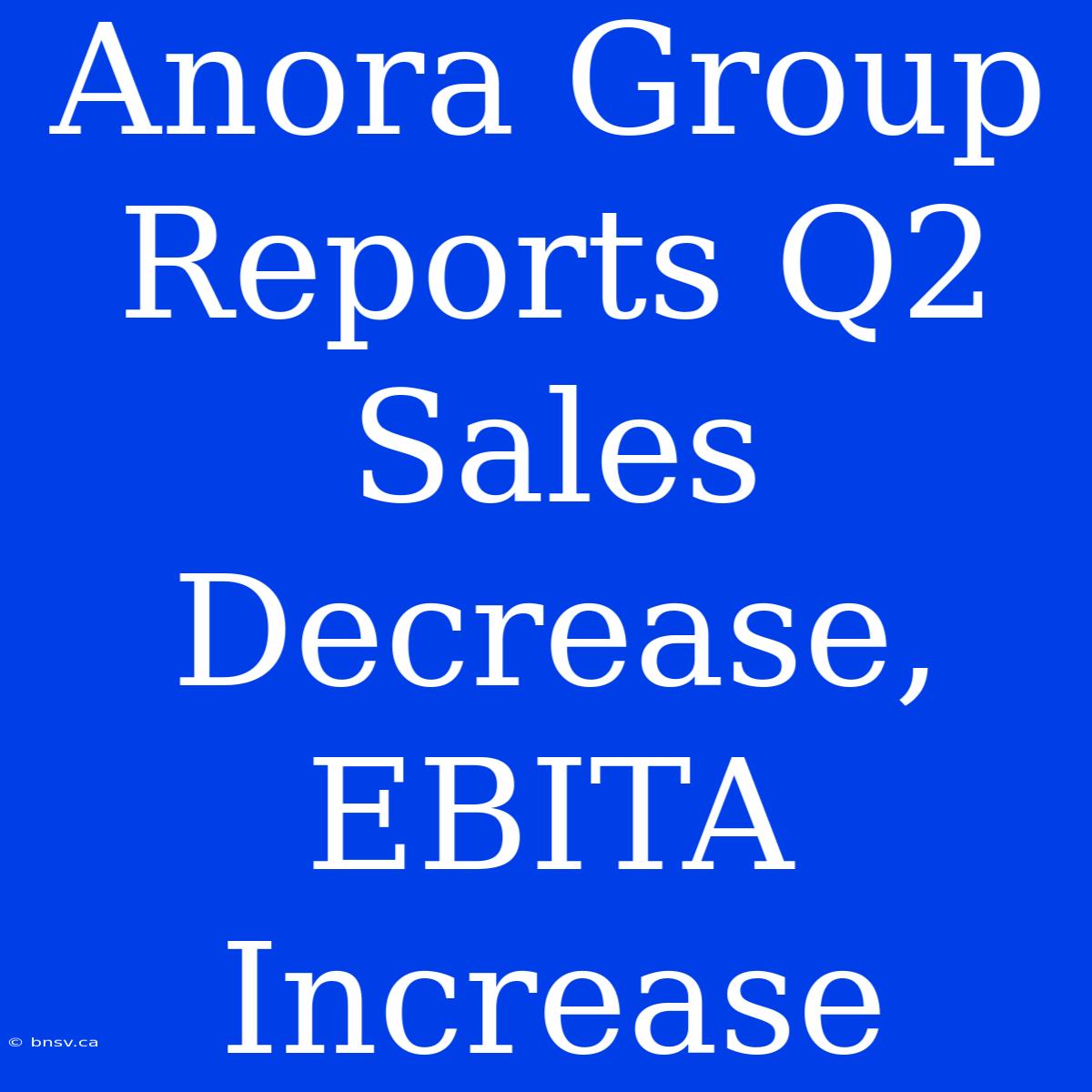 Anora Group Reports Q2 Sales Decrease, EBITA Increase