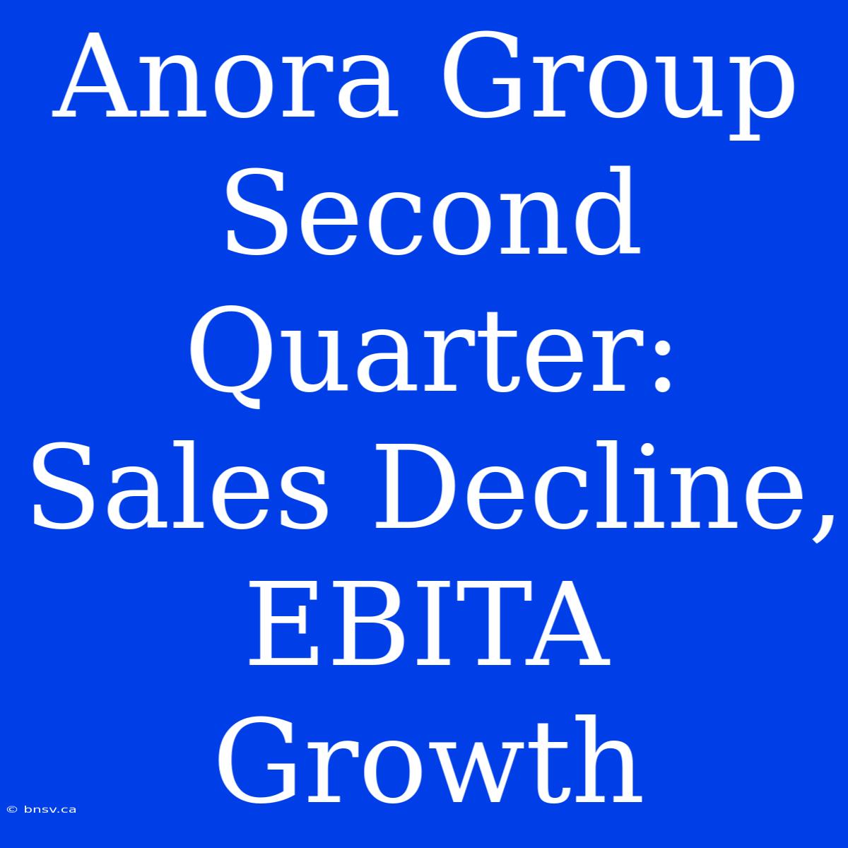 Anora Group Second Quarter: Sales Decline, EBITA Growth