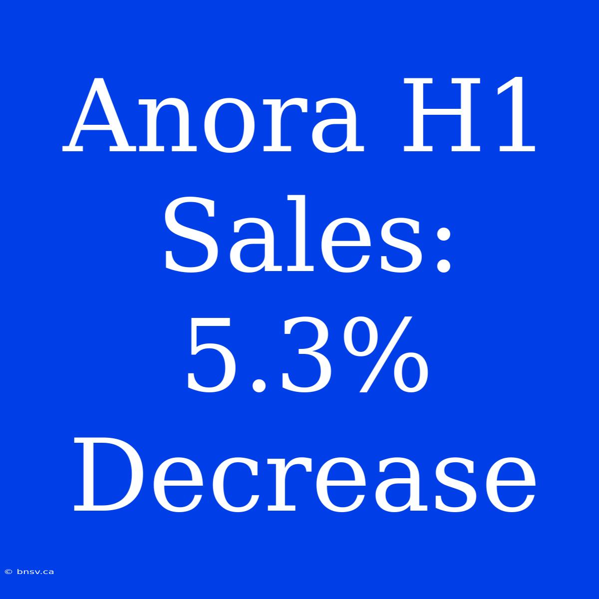 Anora H1 Sales: 5.3% Decrease