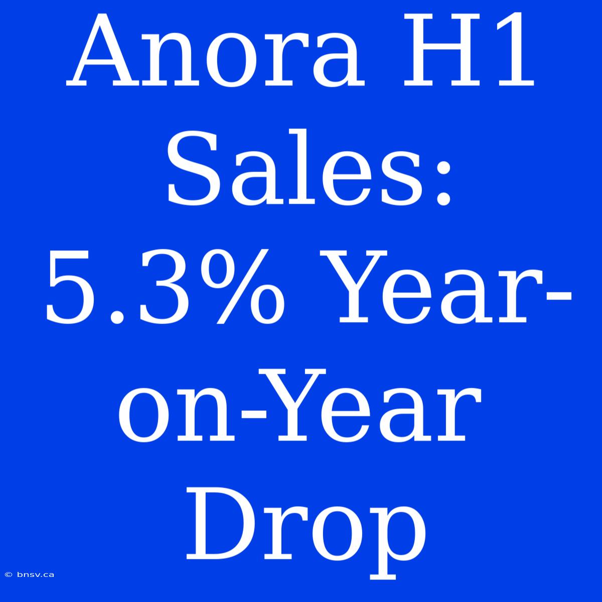 Anora H1 Sales: 5.3% Year-on-Year Drop