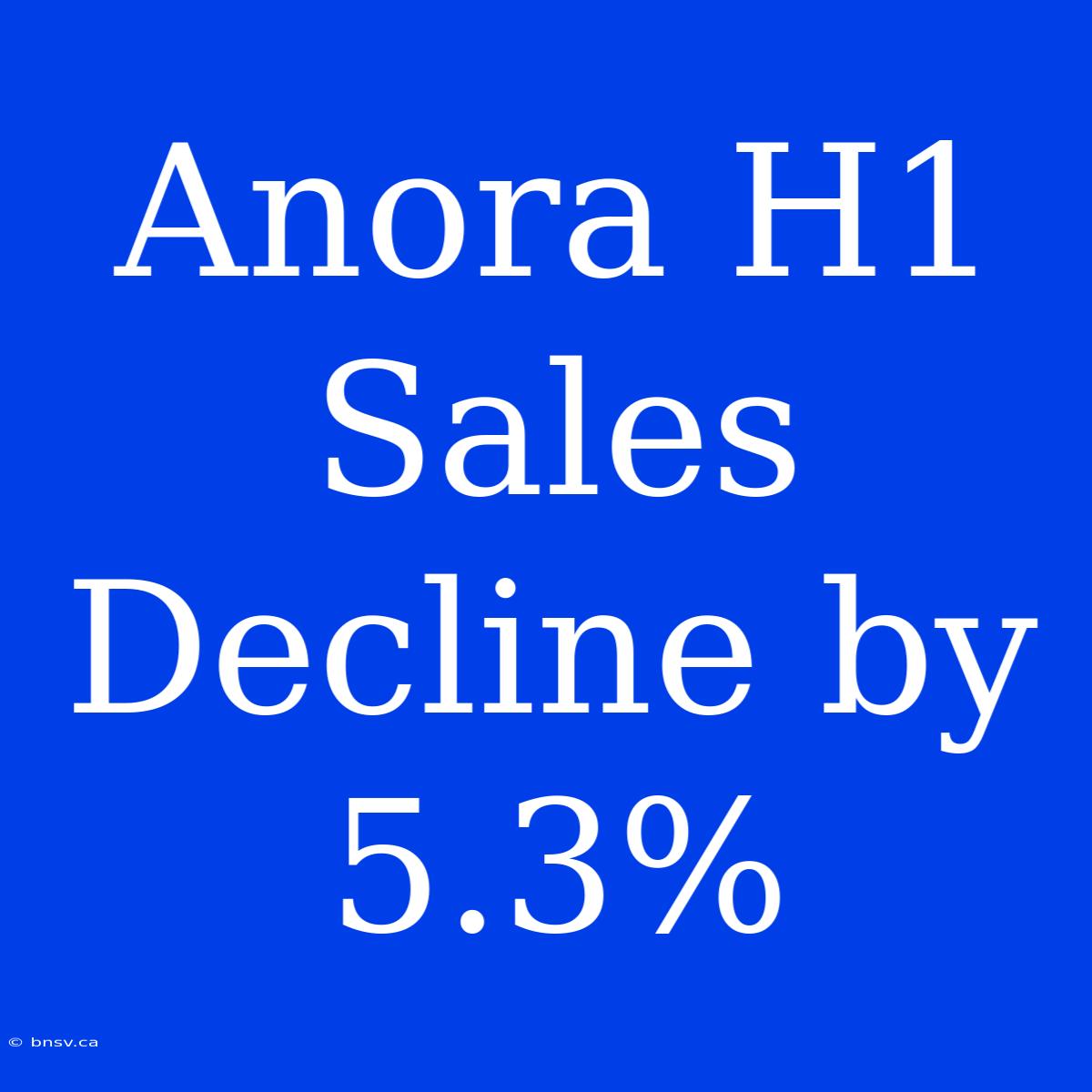 Anora H1 Sales Decline By 5.3%