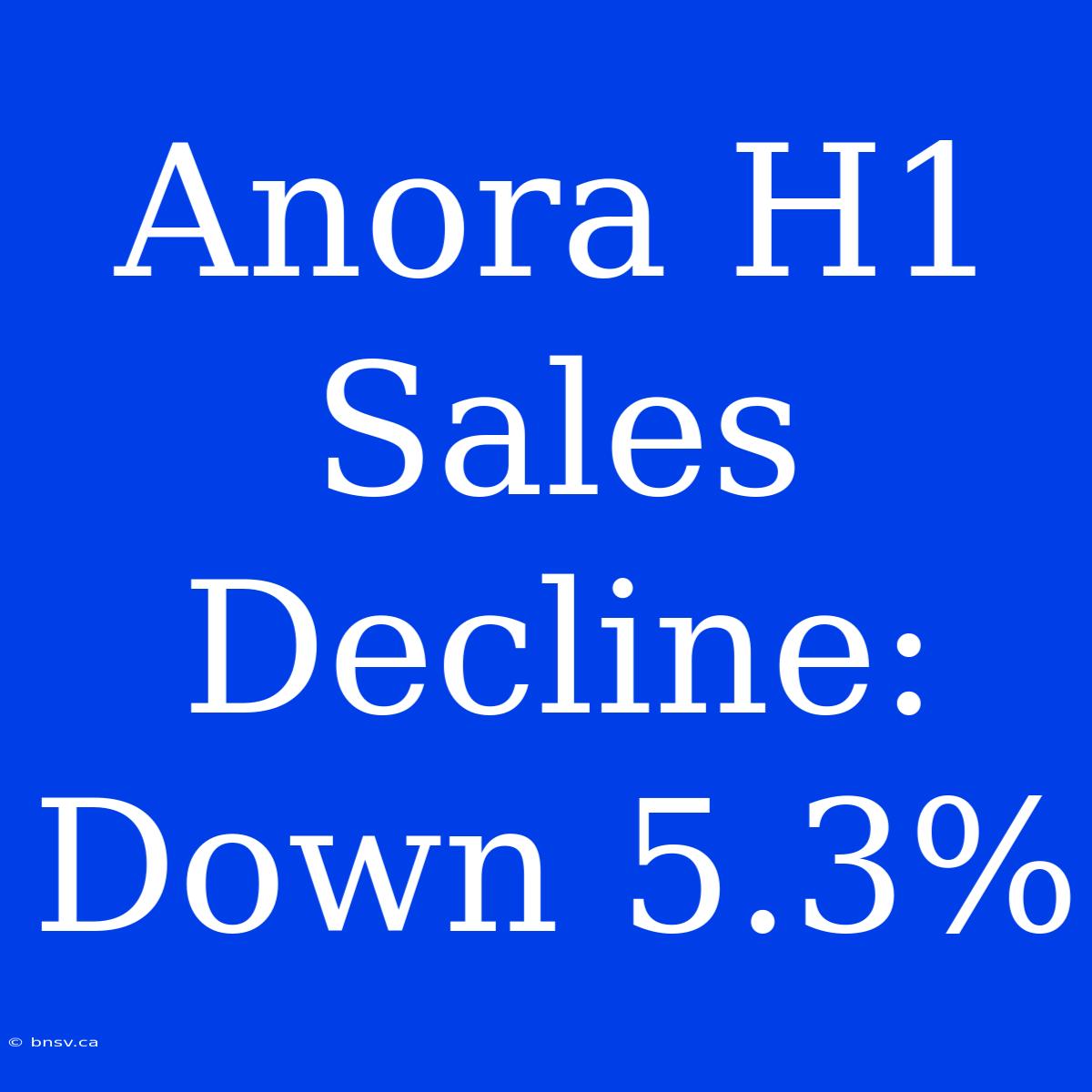 Anora H1 Sales Decline: Down 5.3%