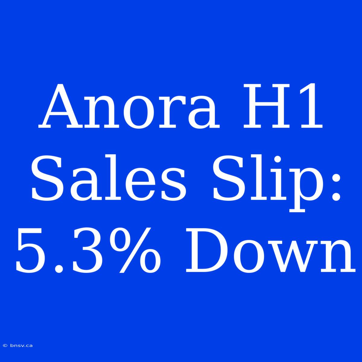 Anora H1 Sales Slip: 5.3% Down