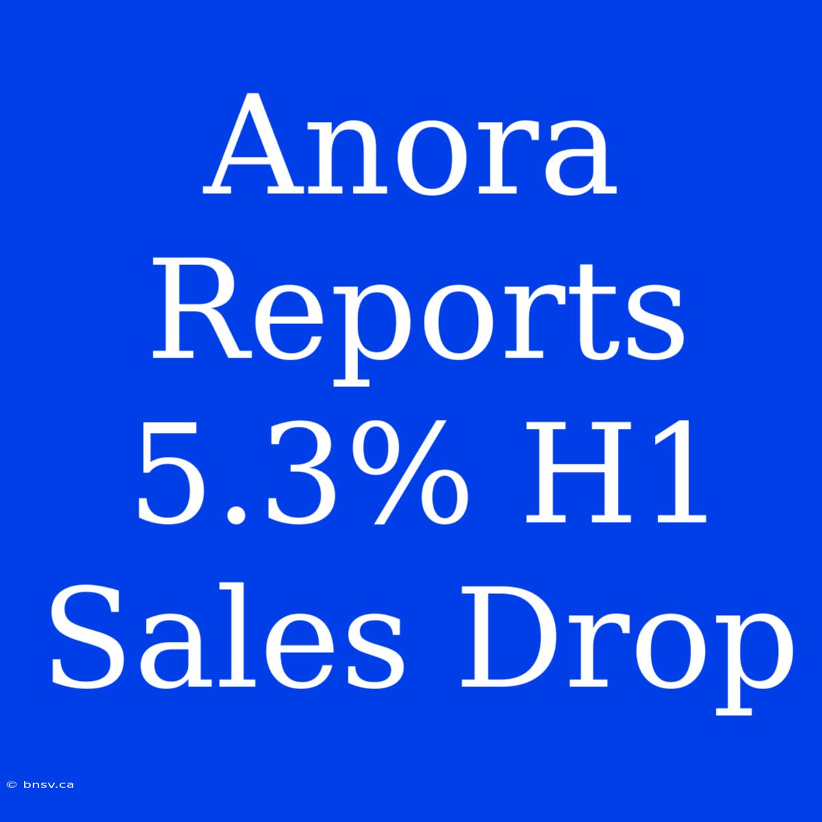 Anora Reports 5.3% H1 Sales Drop