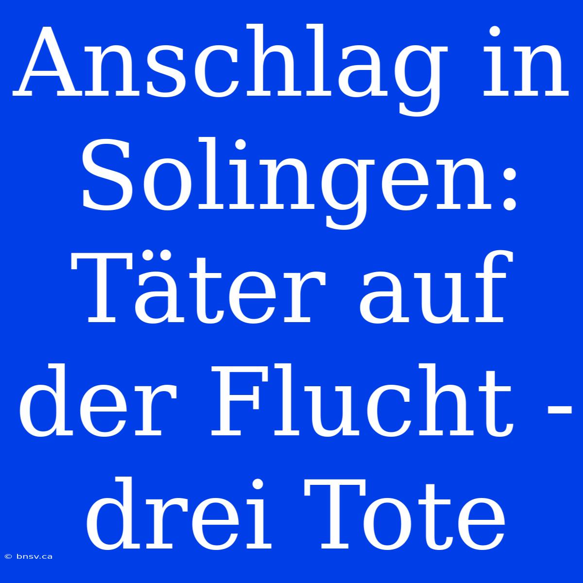 Anschlag In Solingen: Täter Auf Der Flucht - Drei Tote