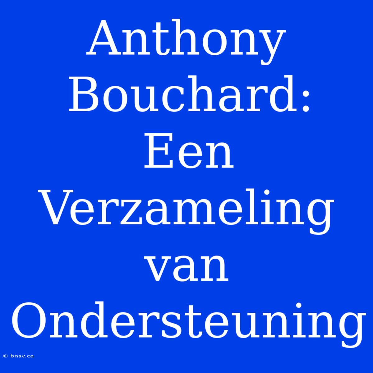 Anthony Bouchard:  Een Verzameling Van Ondersteuning