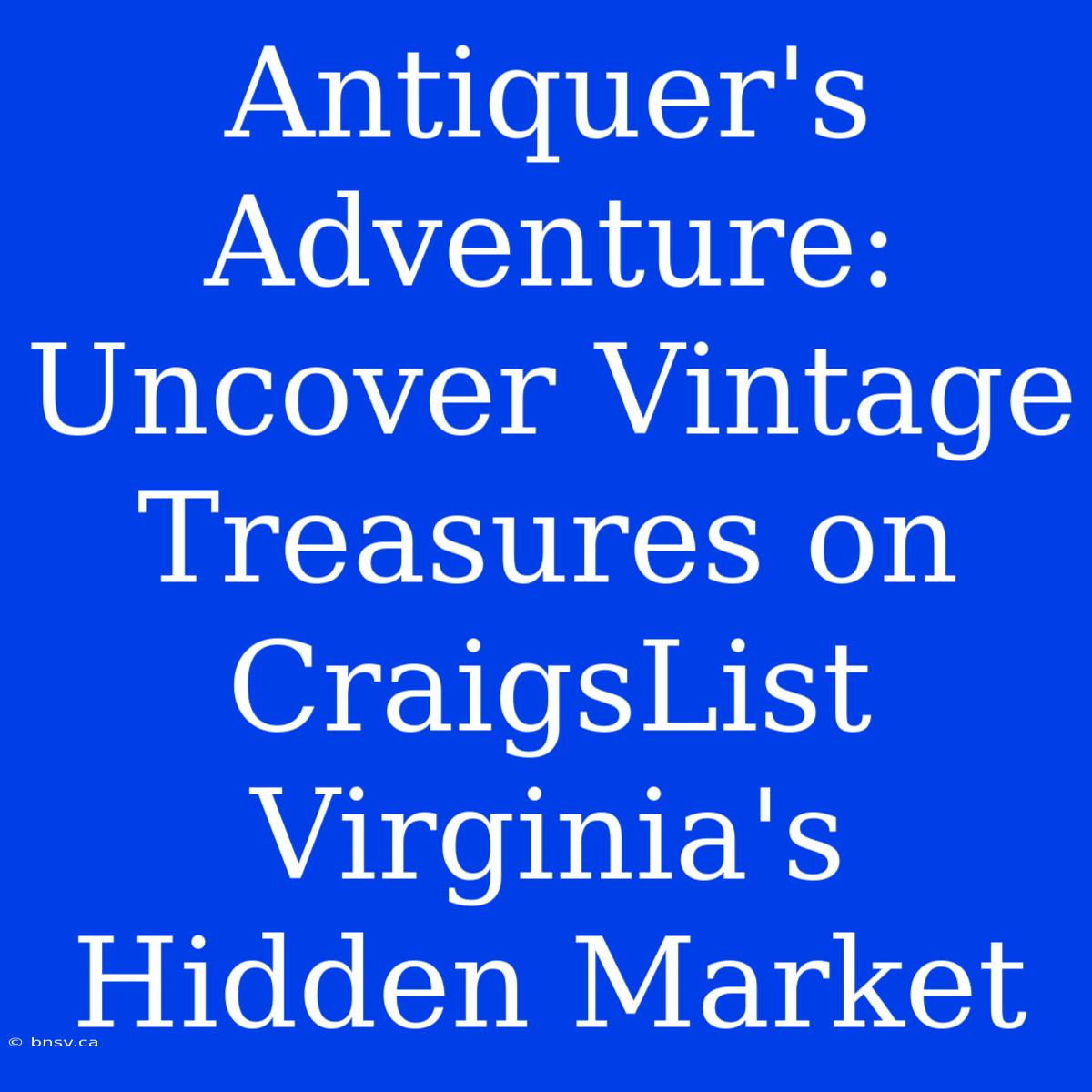 Antiquer's Adventure: Uncover Vintage Treasures On CraigsList Virginia's Hidden Market