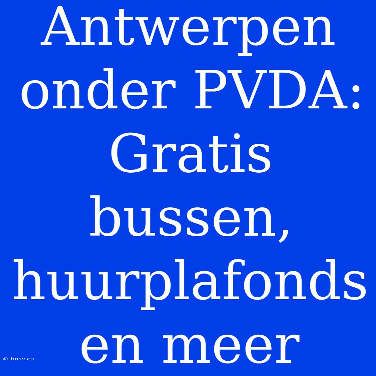 Antwerpen Onder PVDA: Gratis Bussen, Huurplafonds En Meer