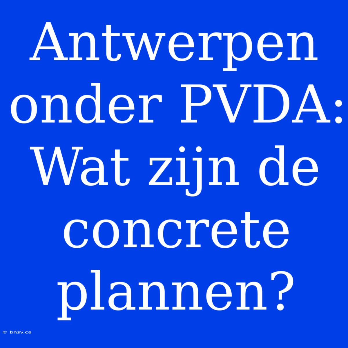 Antwerpen Onder PVDA: Wat Zijn De Concrete Plannen?