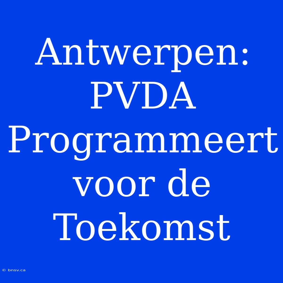 Antwerpen: PVDA Programmeert Voor De Toekomst