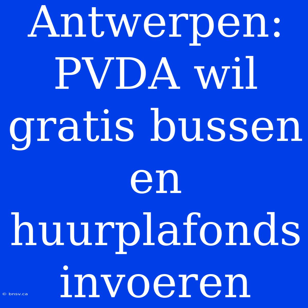 Antwerpen: PVDA Wil Gratis Bussen En Huurplafonds Invoeren