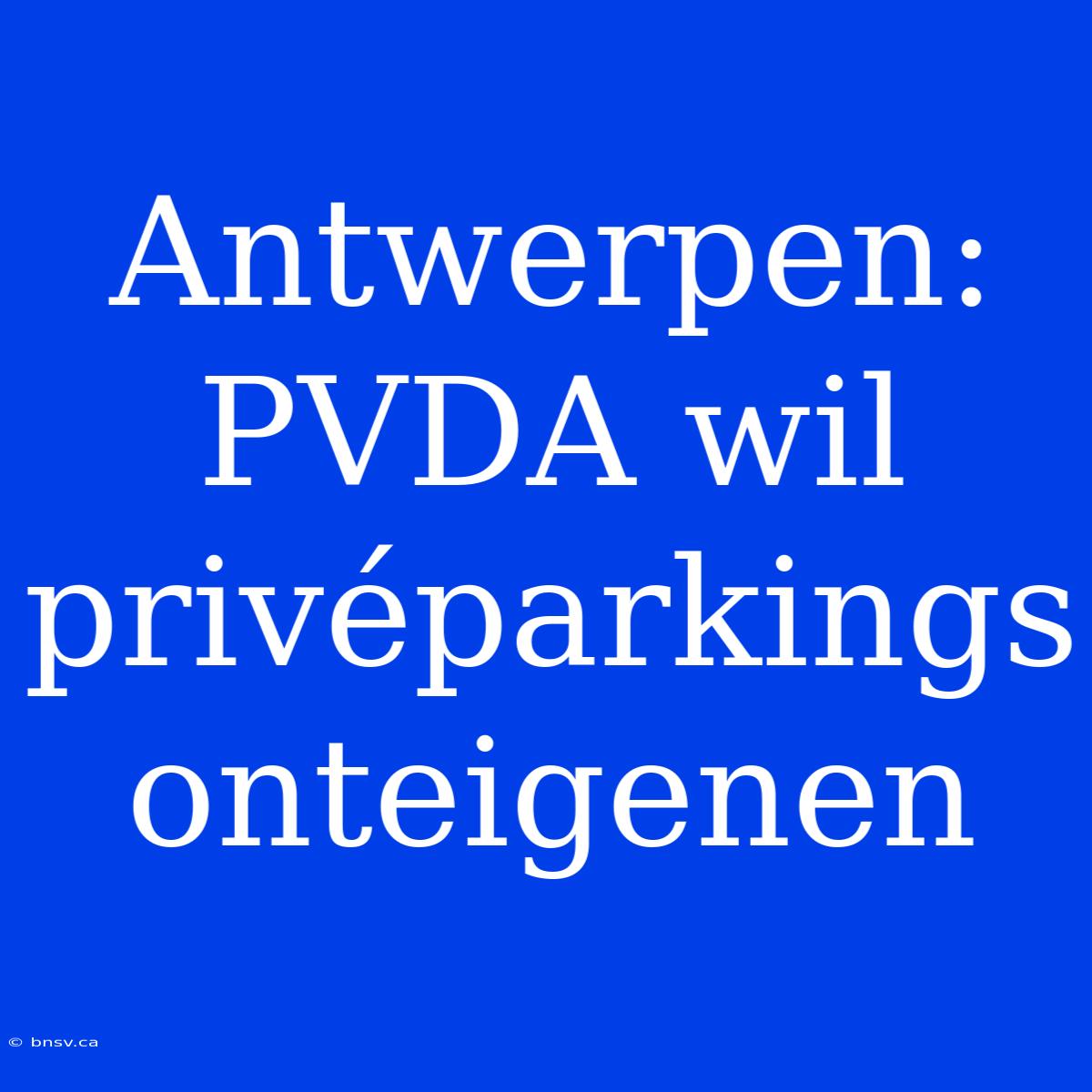 Antwerpen: PVDA Wil Privéparkings Onteigenen