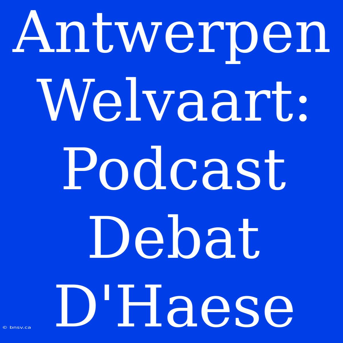 Antwerpen Welvaart: Podcast Debat D'Haese