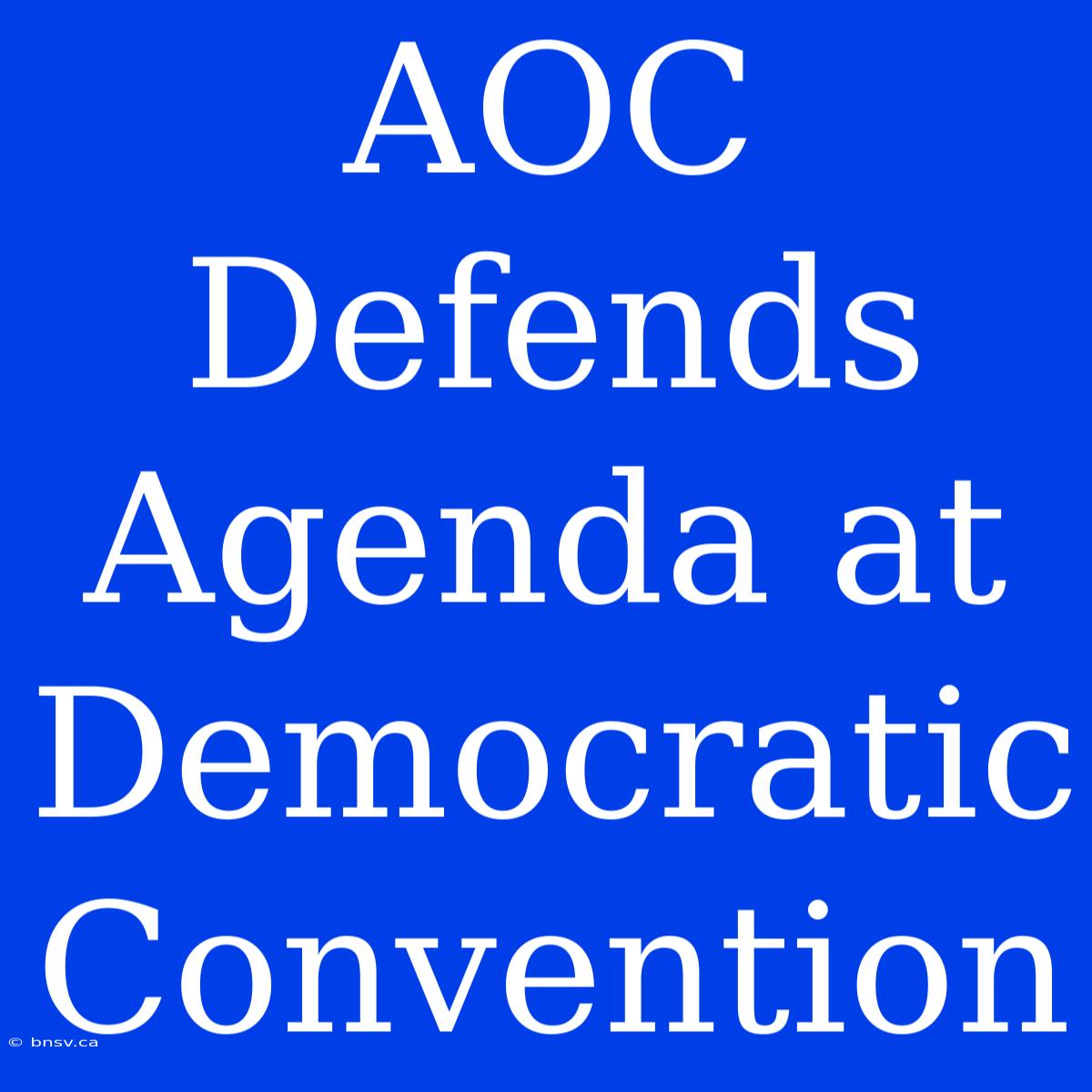 AOC Defends Agenda At Democratic Convention