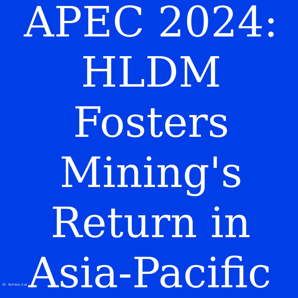 APEC 2024: HLDM Fosters Mining's Return In Asia-Pacific