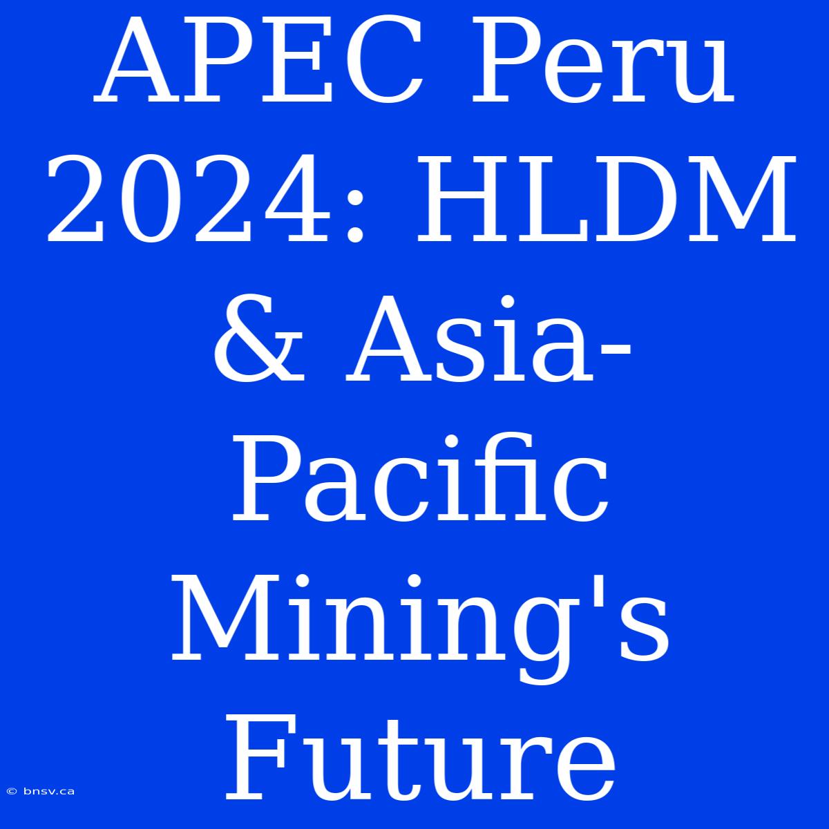 APEC Peru 2024: HLDM & Asia-Pacific Mining's Future