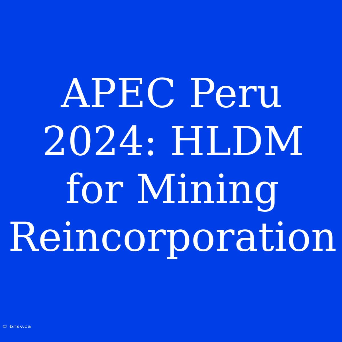 APEC Peru 2024: HLDM For Mining Reincorporation