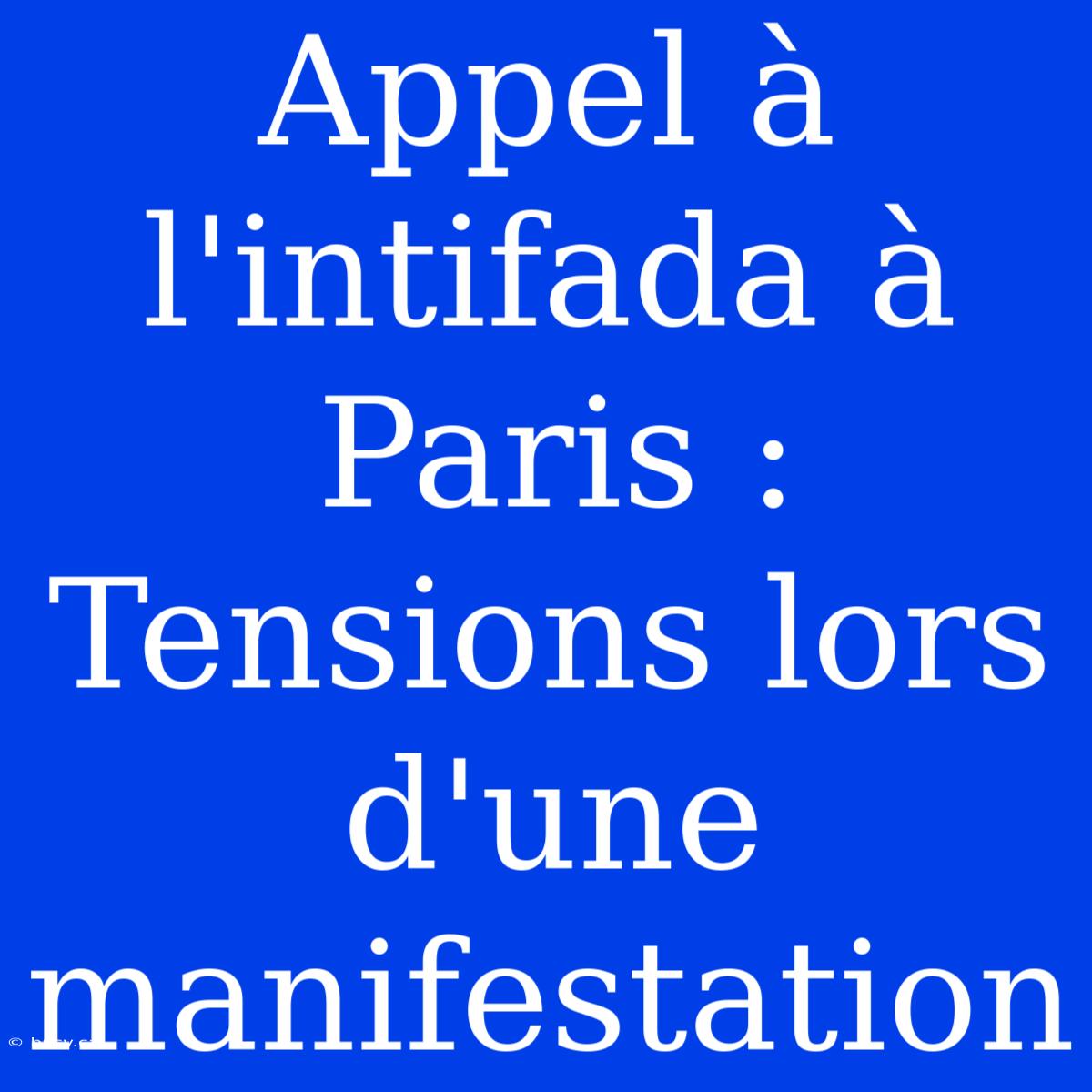 Appel À L'intifada À Paris : Tensions Lors D'une Manifestation