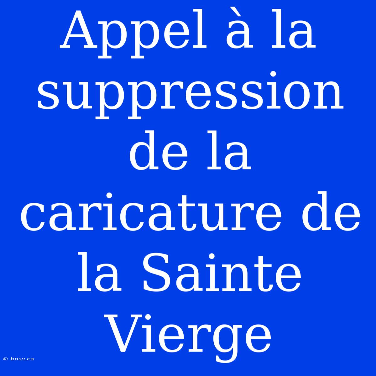 Appel À La Suppression De La Caricature De La Sainte Vierge