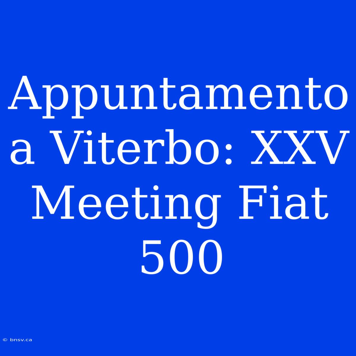 Appuntamento A Viterbo: XXV Meeting Fiat 500