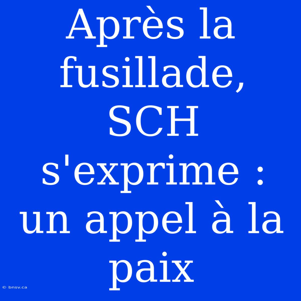 Après La Fusillade, SCH S'exprime : Un Appel À La Paix