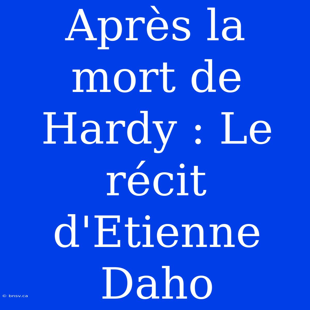 Après La Mort De Hardy : Le Récit D'Etienne Daho