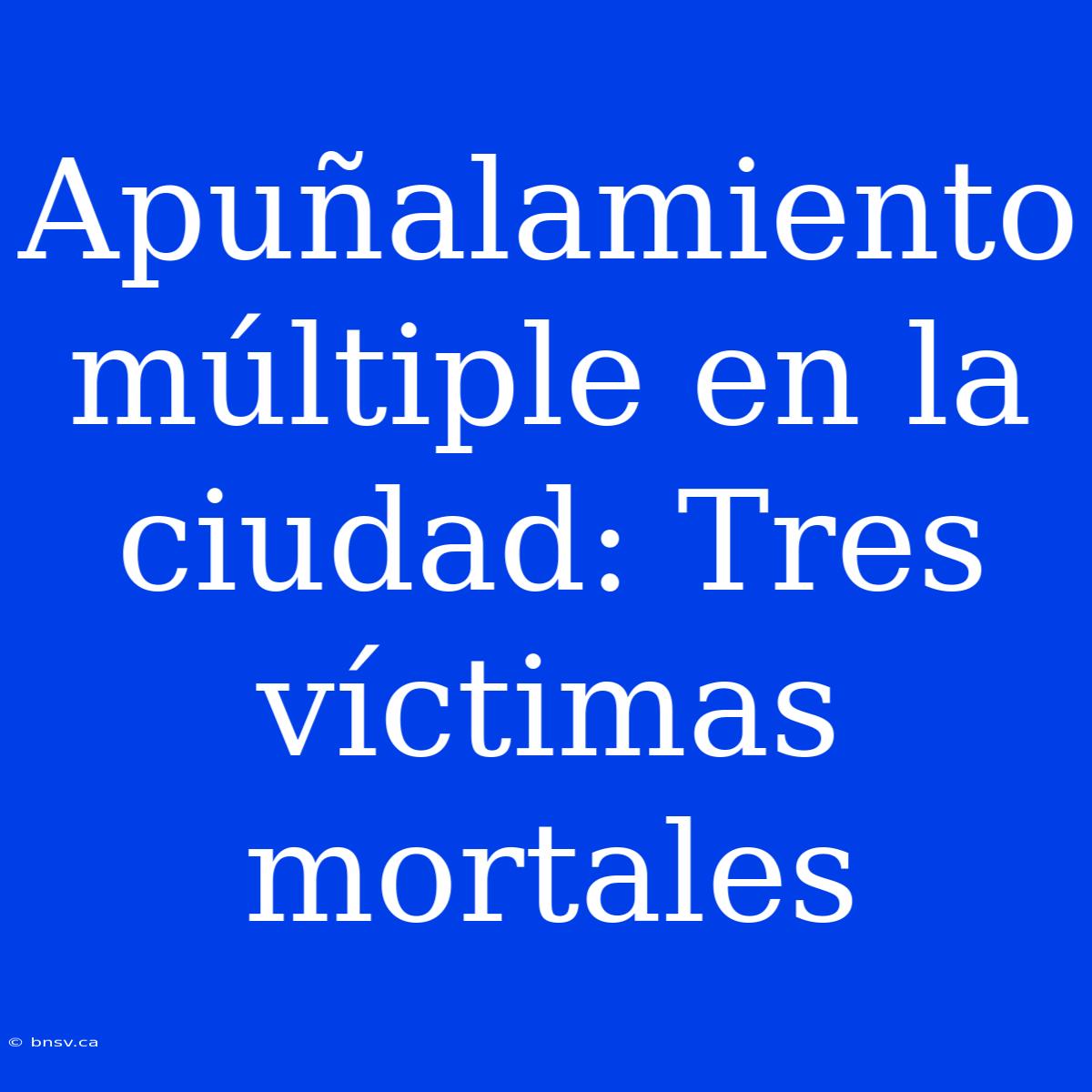 Apuñalamiento Múltiple En La Ciudad: Tres Víctimas Mortales