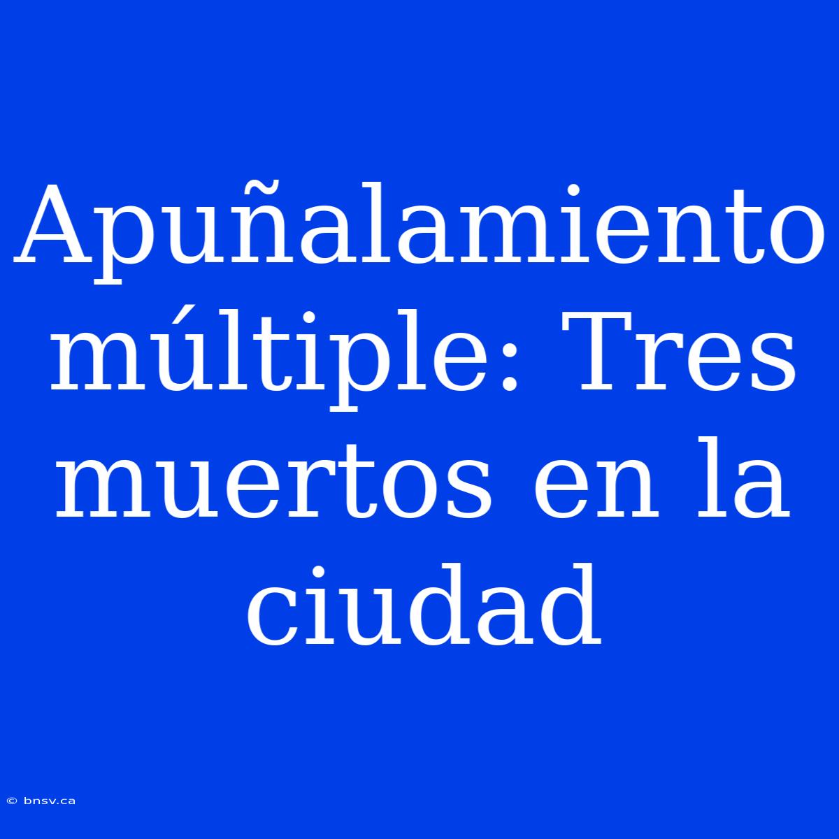 Apuñalamiento Múltiple: Tres Muertos En La Ciudad