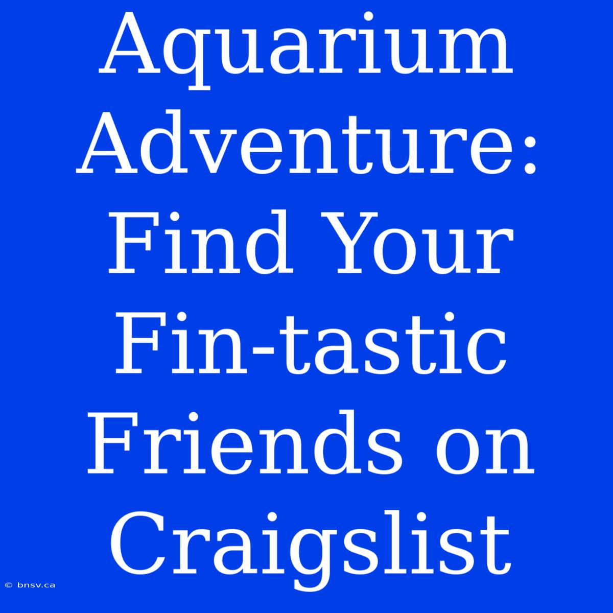 Aquarium Adventure: Find Your Fin-tastic Friends On Craigslist