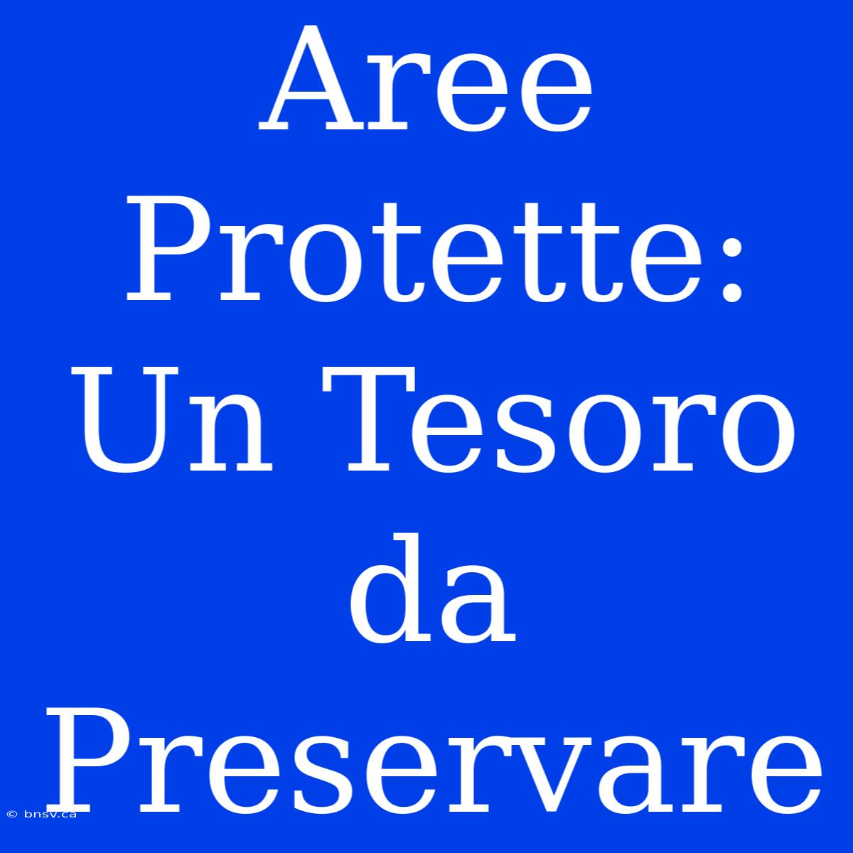 Aree Protette: Un Tesoro Da Preservare