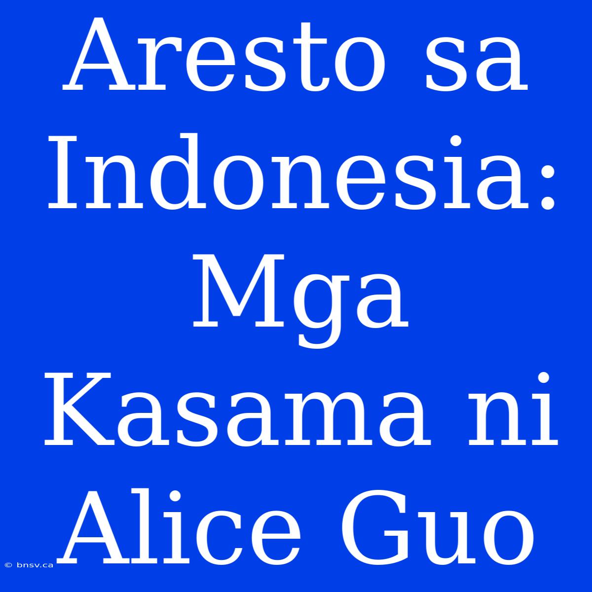 Aresto Sa Indonesia: Mga Kasama Ni Alice Guo