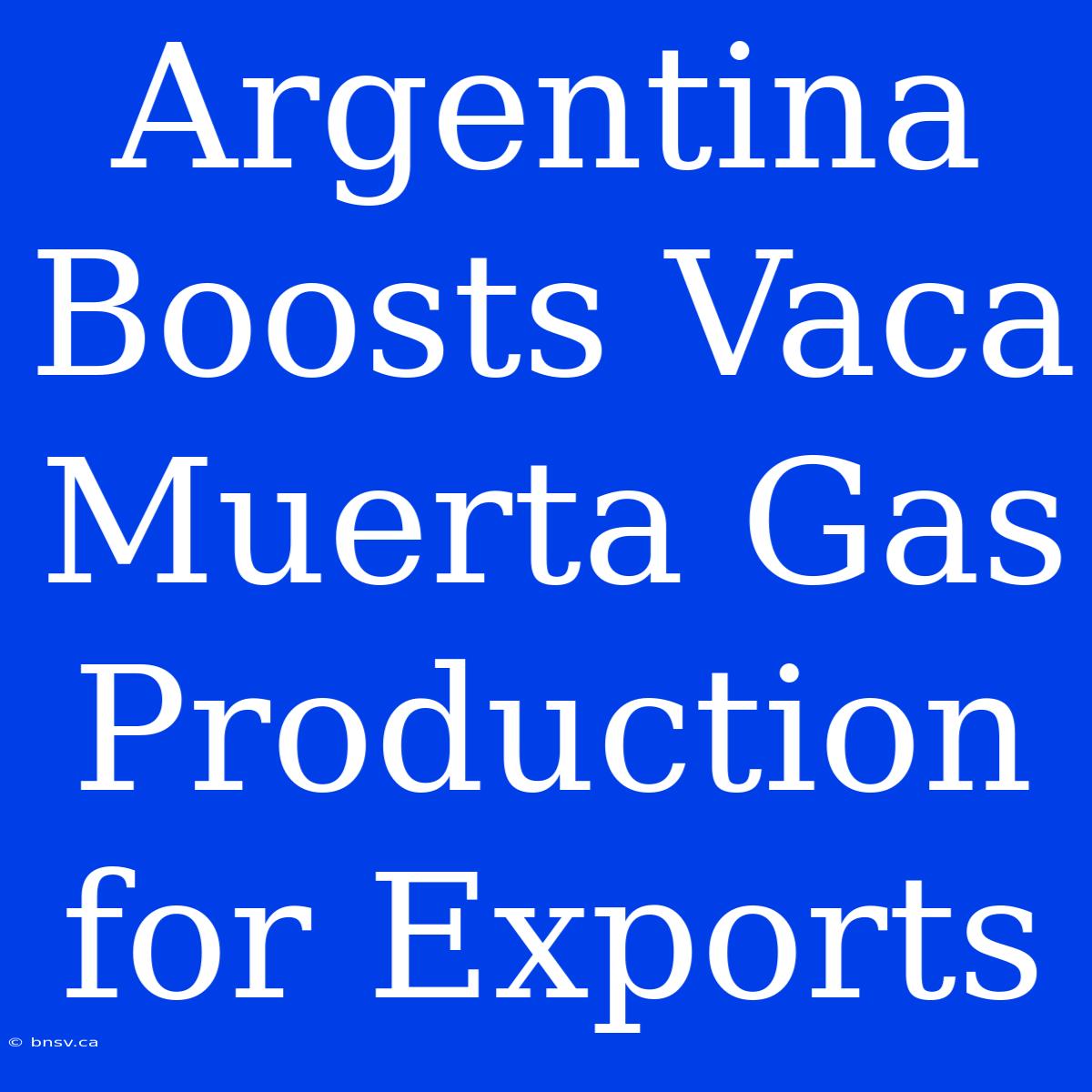 Argentina Boosts Vaca Muerta Gas Production For Exports