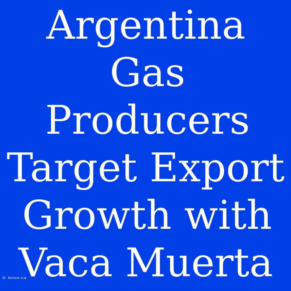 Argentina Gas Producers Target Export Growth With Vaca Muerta