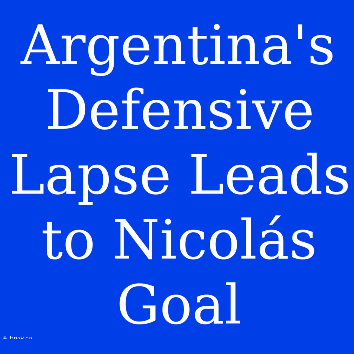 Argentina's Defensive Lapse Leads To Nicolás Goal