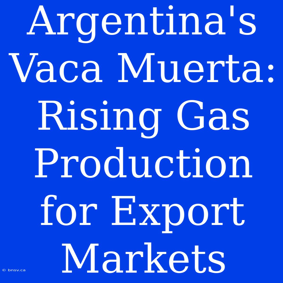 Argentina's Vaca Muerta: Rising Gas Production For Export Markets