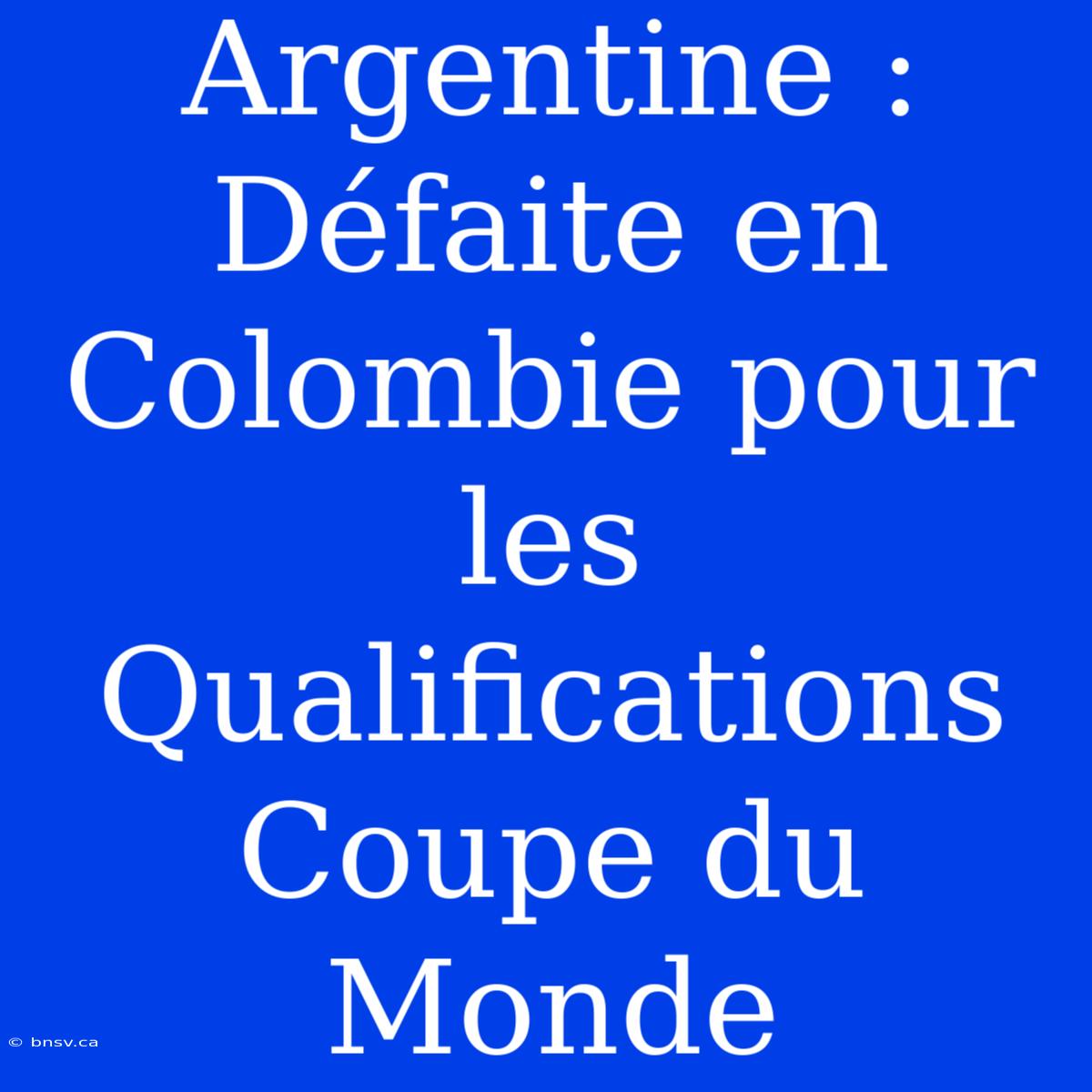 Argentine : Défaite En Colombie Pour Les Qualifications Coupe Du Monde