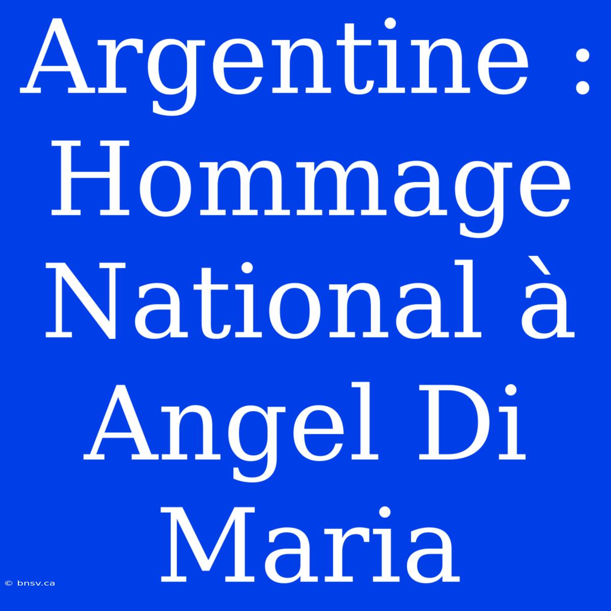 Argentine : Hommage National À Angel Di Maria