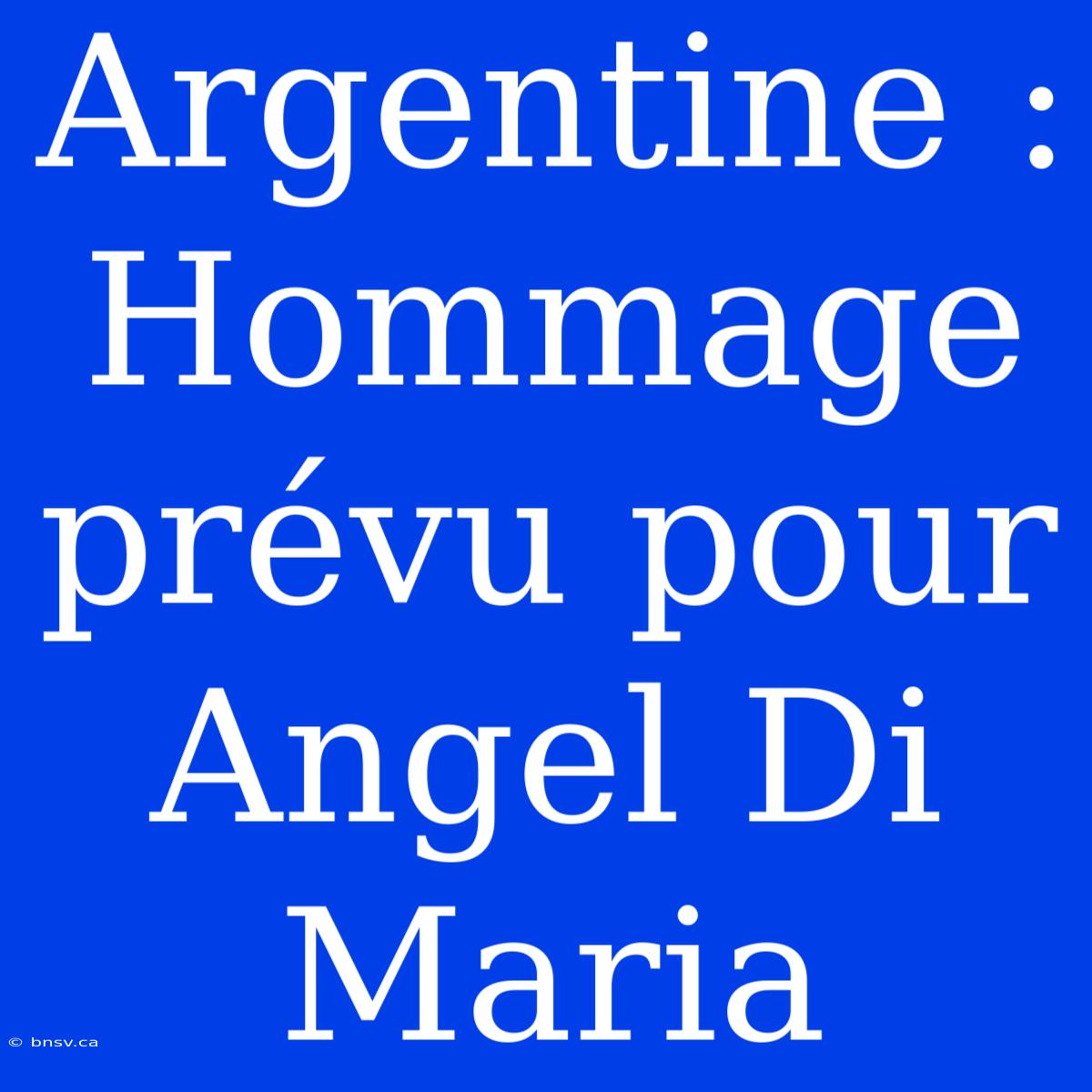 Argentine : Hommage Prévu Pour Angel Di Maria