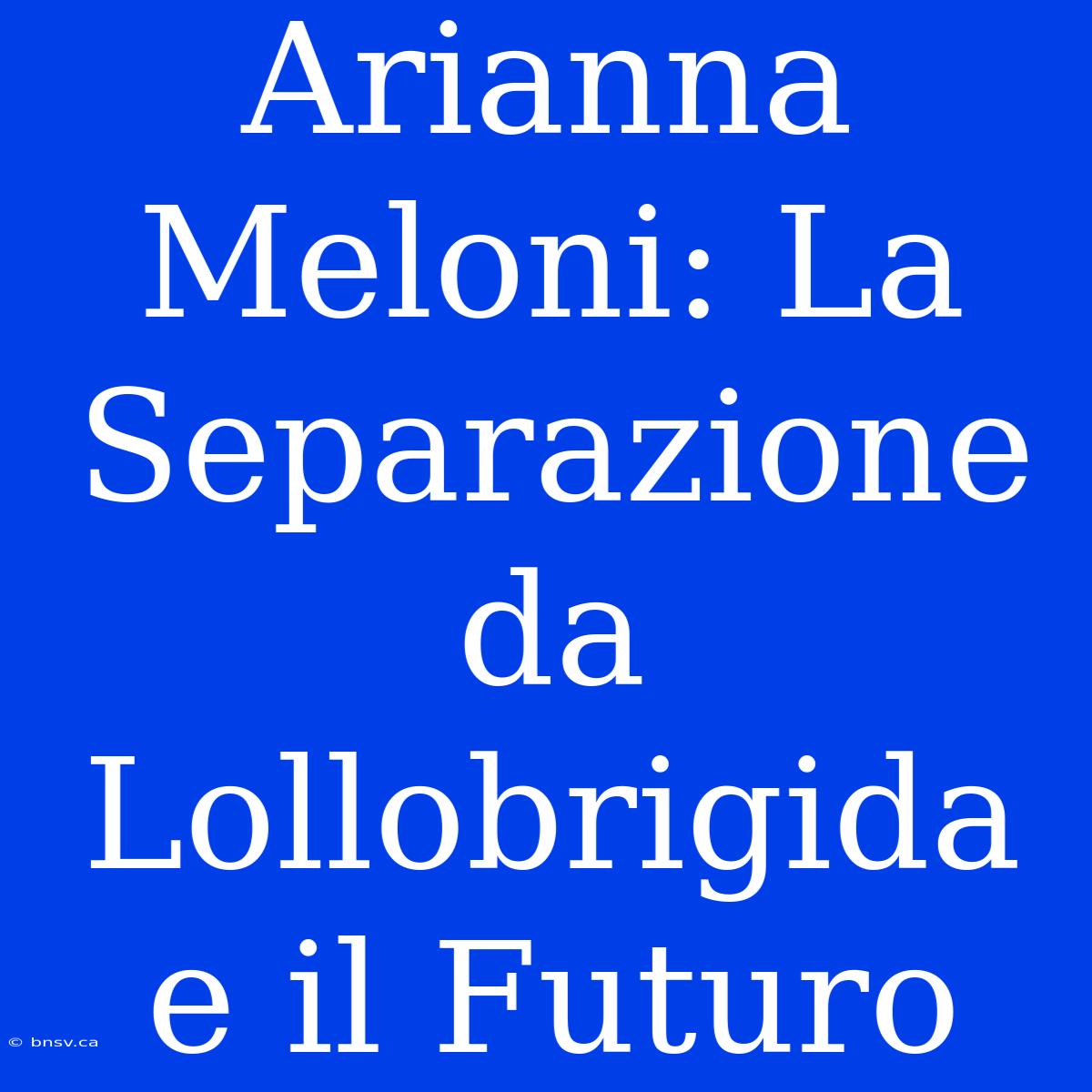 Arianna Meloni: La Separazione Da Lollobrigida E Il Futuro