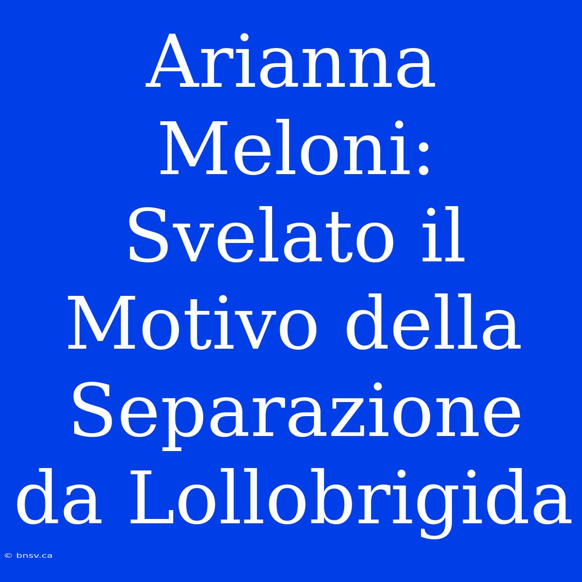 Arianna Meloni: Svelato Il Motivo Della Separazione Da Lollobrigida