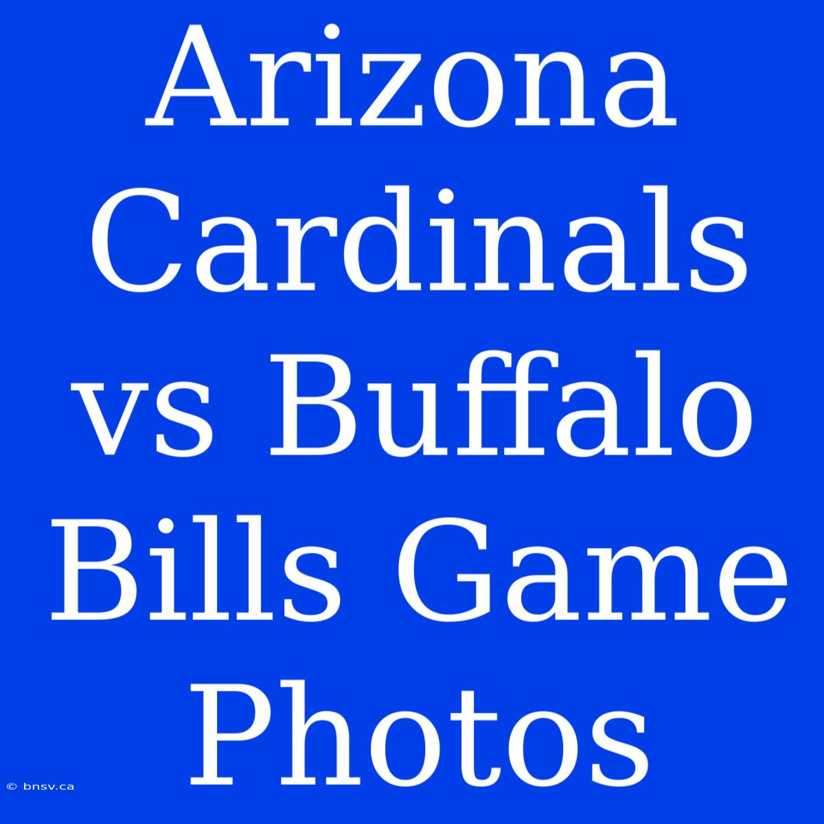 Arizona Cardinals Vs Buffalo Bills Game Photos